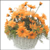 Elegant touch - Click here to View more details about this Product